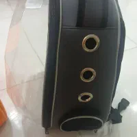 فروش وسایل سگ به همراه سگ سه ماهه پاکوتاه زیر قیمت