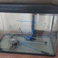 اکواریوم شرکتی