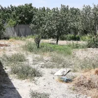 باغ-رزکان-شهریار