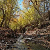 پارتنر طبیعت‌گردی و کوهنوردی