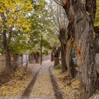 تور یک روزه شهمیرزاد|تور و چارتر|شهمیرزاد, |دیوار