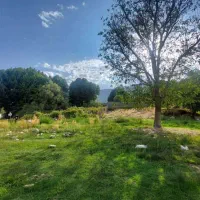 زمین باغ کهمره سرخی ماصرم|فروش زمین و ملک کلنگی|شیراز, آبیاری|دیوار