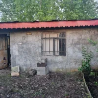 زمین-پیل-علی-باغ