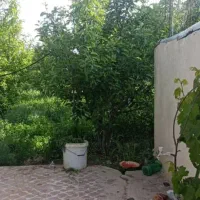 فروش باغ سیب برجاده