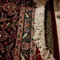 فرش دستباف پشمی 12 متری|فرش|نیشابور, مدرس|دیوار