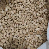 پسته اکبری سیرجان