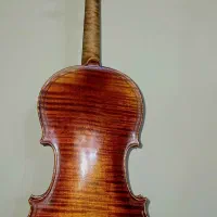 ویولن
