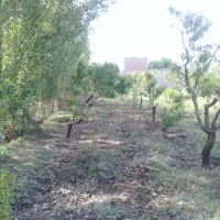 فروش باغ در روستای بیجق|فروش زمین و ملک کلنگی|مشگین شهر, |دیوار