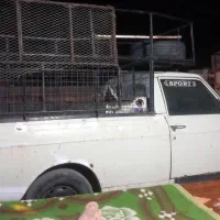 پیکان وانت مدل86|خودرو سواری و وانت|رامهرمز, |دیوار