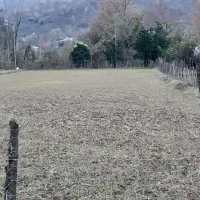 فروش باغ و زمین کشاورزی در فومن جاده ماسوله
