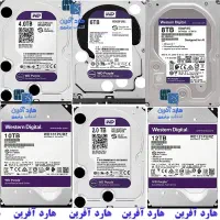 فروش تخصصی هارد دیسک وسترن بنفش با قیمت رقابتی