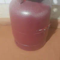 فروش پیک نیک ۵ کیلویی