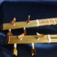 سه تار خوش صدا شاهرخی|سازهای سنتی|گلبهار, شهر جدید گلبهار|دیوار