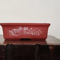 تعدادی گلدان اصلی بونسای،بن سای،بن سای