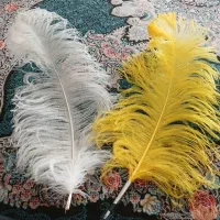 پر علامت آفریقایی