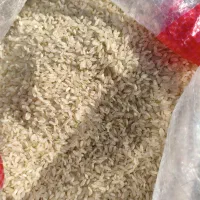 برنج درجه یک کامفیروزی|خوردنی و آشامیدنی|بروجن, |دیوار