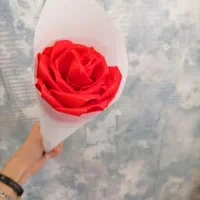 گل روبانی|گل مصنوعی|کرج, حصارک بالا|دیوار