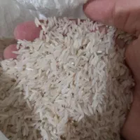 برنج سرلاشه وفجر موجود میباشد|خوردنی و آشامیدنی|گنبد کاووس, |دیوار