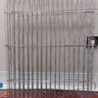 فنس.تشک سگ‌ گربه