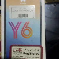 yyy6