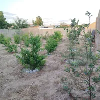 فروش زمین ۷۵۰ متری در آبشار تهران|فروش زمین و ملک کلنگی|تهران, آبشار تهران (دریاچه)|دیوار