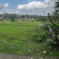 شالیزار-سنتی-زمین