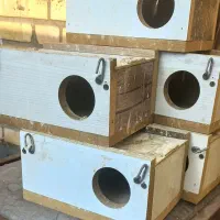 قفس و لانه پرنده|لوازم جانبی حیوانات|اهواز, فاز ۵ پاداد|دیوار