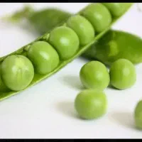 فروش و خریدار نخود فرنگی پفکی نقد