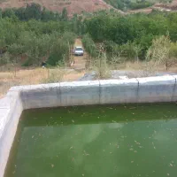 باغ میوه درجه ۱|فروش زمین و ملک کلنگی|دهگلان, |دیوار