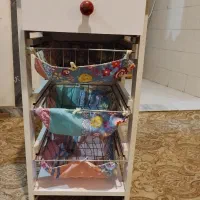 جا پیاز و سیب زمینی