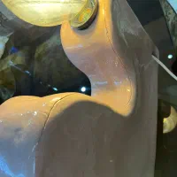 چراغ خواب ، چراغ مطالعه|چراغ خواب و آباژور|رفسنجان, |دیوار