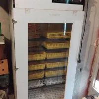 دستگاه جوجه کشی ۱۰۰۸ تایی هدایت نو نو به شرط سلامت|لوازم جانبی حیوانات|تهران, شهرک امام خمینی|دیوار