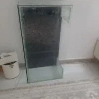 آکواریوم|ماهی|پاکدشت, پاکدشت (مامازند)|دیوار