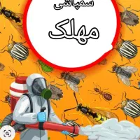 سم پاش سوسک ساس|خدمات نظافت|فردیس, داوری|دیوار