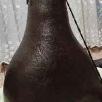 هیزه تازه|صنایع دستی و سایر لوازم تزئینی|ایوان, |دیوار