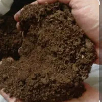 کود دام برای کشاورزی