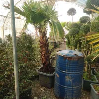 انجام کلیه کارهای باغبانی