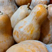 کدو حلوایی شیرین + هایپر میوه گلچین