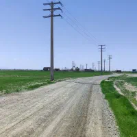 9000 زمین کشاورزی گلخانه کارخونه قارچ دامداری