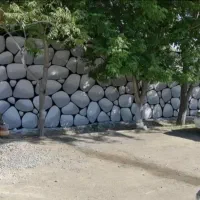 دیوارنویسی ونقاشی دیوار