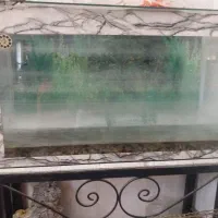 دو عدد آکواریوم کامل