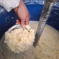 کره محلی گاوی زرد و سفید ب صورت عمده و جزئی|خوردنی و آشامیدنی|تهران, نیاوران|دیوار