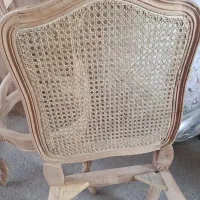 نیرو کارخانم