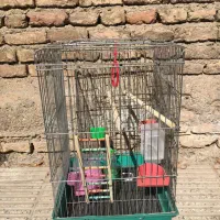 قفس و کیف پرنده|لوازم جانبی حیوانات|تهران, افسریه شمالی|دیوار