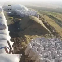 کاه عدس