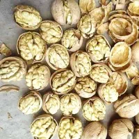 گردو پوست کاغذی ۶۴۵/۰۰۰      باضمانت ( بدون پوچی )|خوردنی و آشامیدنی|قم, ولیعصر|دیوار