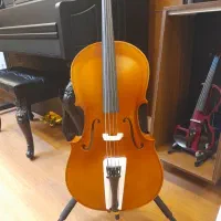 ویولن سری 00800 دست ساز پیانو|ویولن|کرج, کرج نو|دیوار