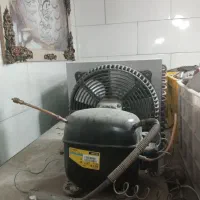 یخچال قصابی|فروشگاه و مغازه|مشهد, رده|دیوار