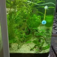 اکواریوم ۱۲۰شرکتی دردار باماهی