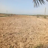 باغ وزمین لب اتوبان دالکی برازجان|فروش زمین و ملک کلنگی|برازجان, |دیوار